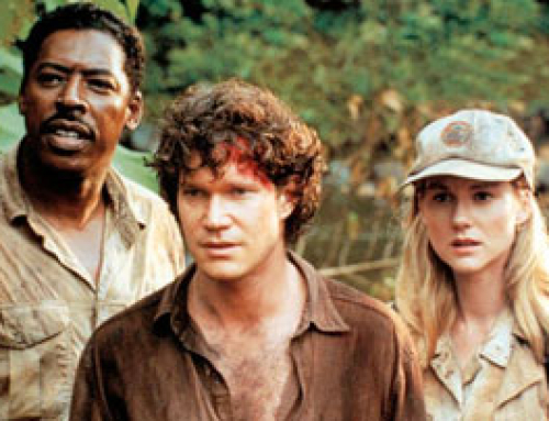 Spotlight on “Congo”